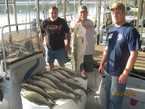 Nice Striped Bass